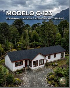 Modelo C-123