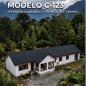 Modelo C-123
